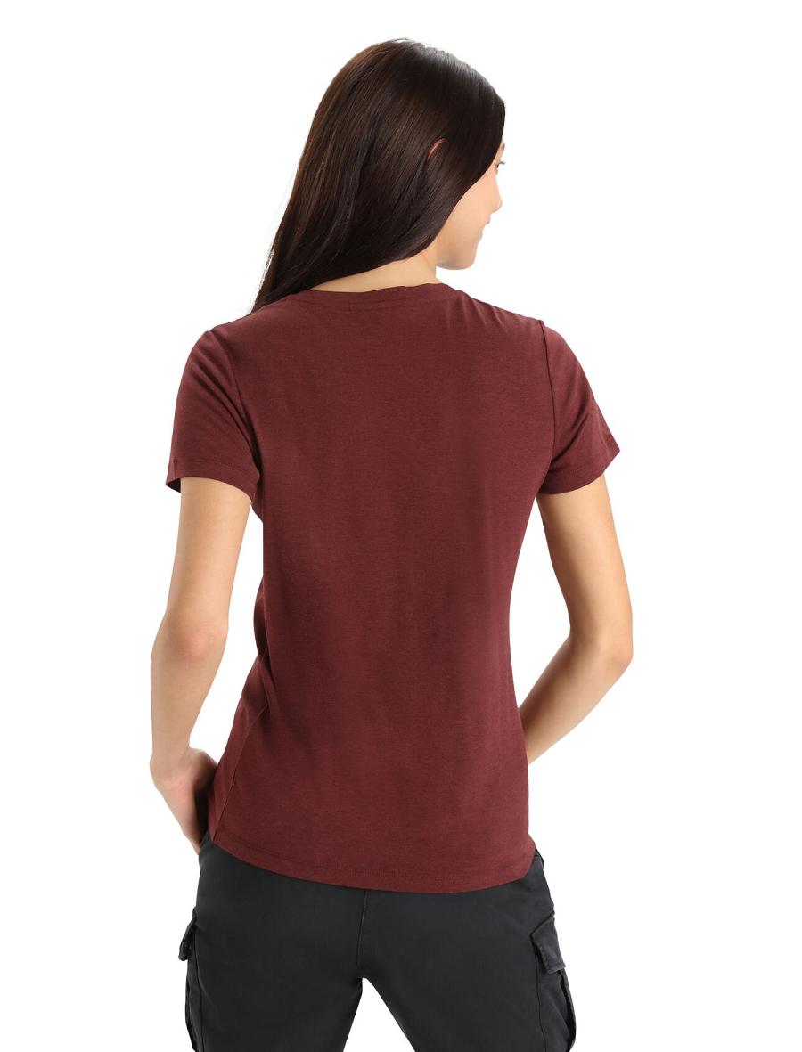 Espresso Icebreaker Merino Central Classic Short Sleeve Women's T Shirts | AU 1564SGLO